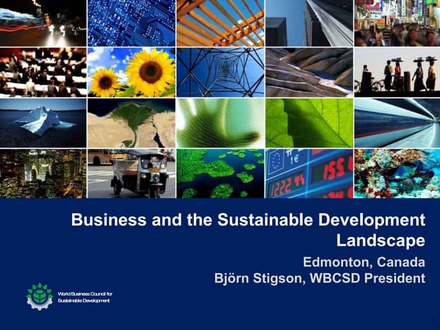 Business And The Sustainable Development Landscape