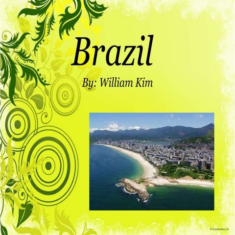Business Brazil Presentation