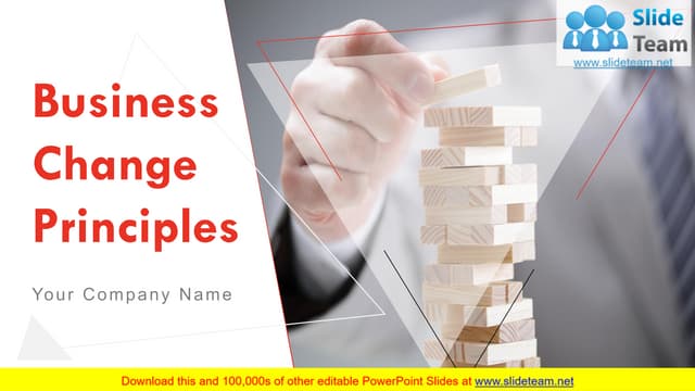 Business Change Principles PowerPoint Presentation Slides