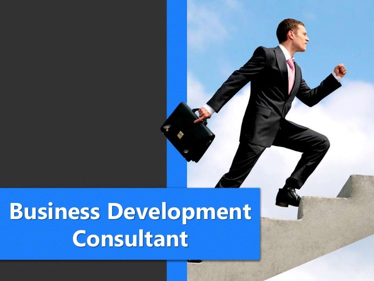 Business Development Consultant