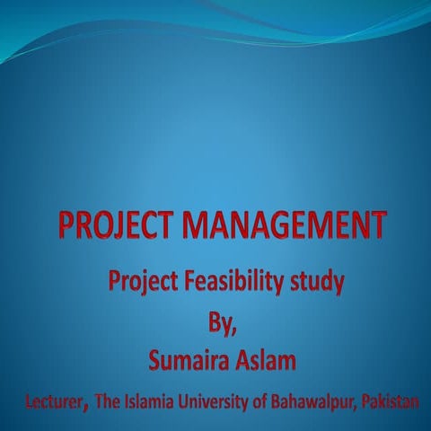 Business development feasibility study