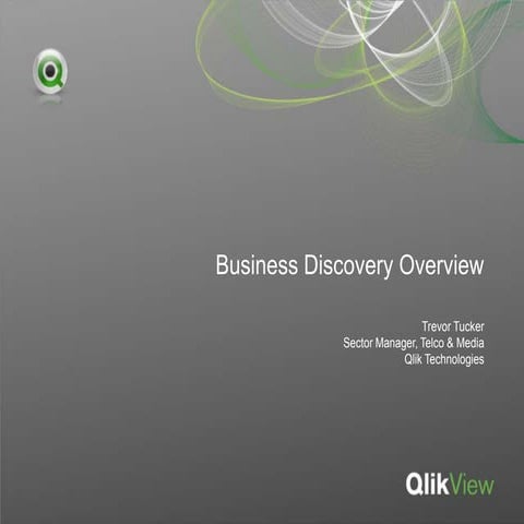 Business Discovery Ppt