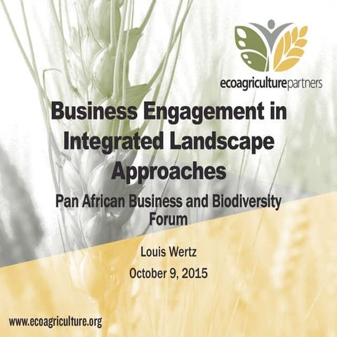 Business Engagement in Integrated Approaches to Sustainable Development