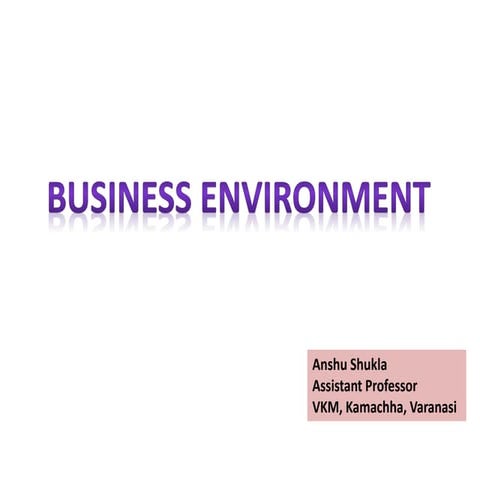 Business enviornment