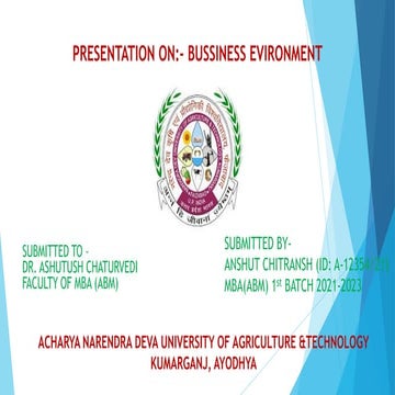 Business environment.pptx