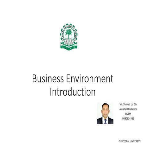 Business environment   introduction