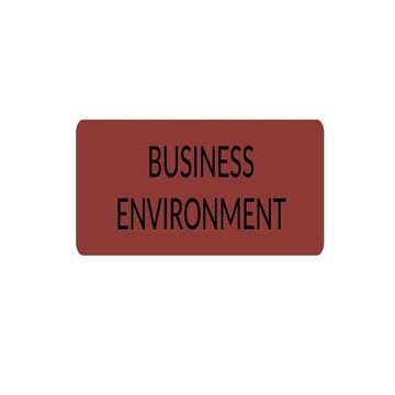 business environment in Business setting