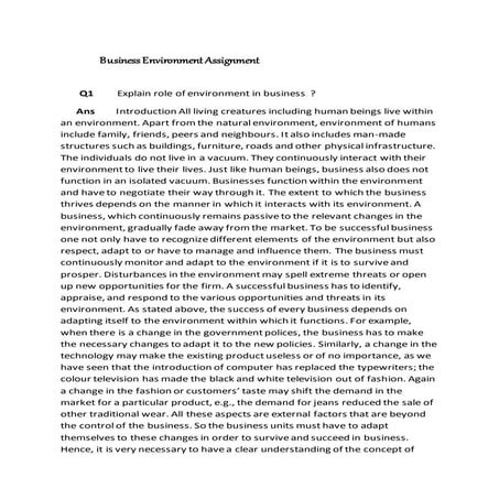 Business environment assignment (1)