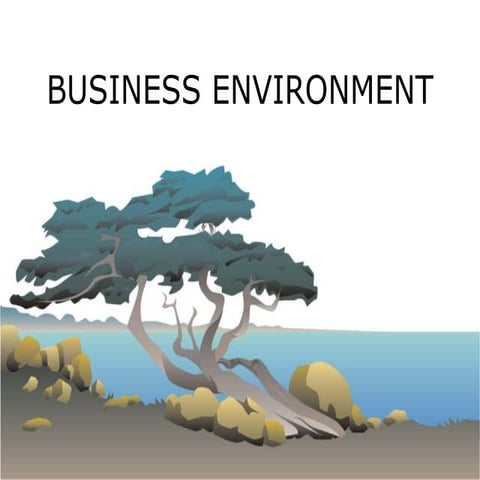 Business environment module ia