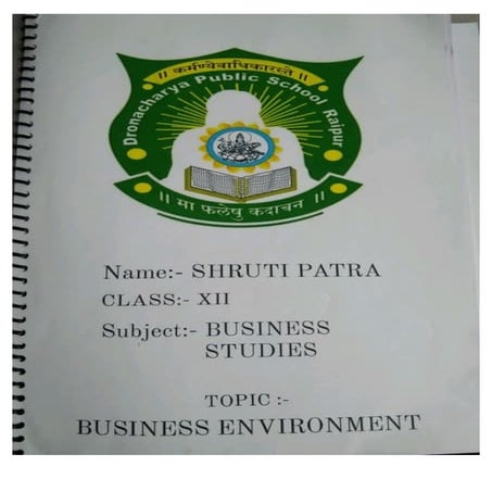 business environment project  class 12th CBSC