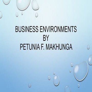 Business environments presentation