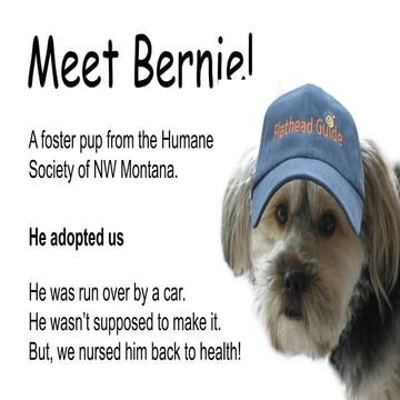 Businesses Get a Boost from the Flathead Guide