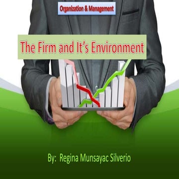 Business firm and its environment