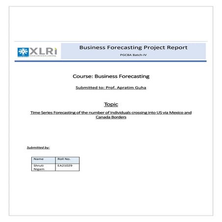 Business forecasting project border