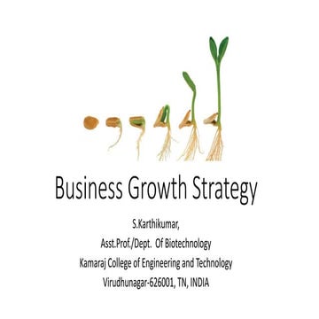 BT8010: Business growth strategy