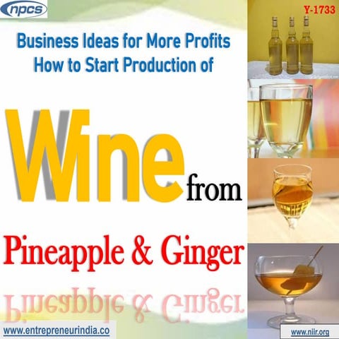 Business ideas for more profits how to start production of wine from pineappl...