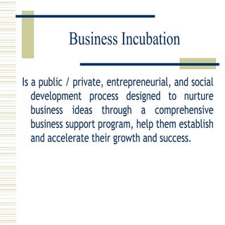 Business incubation