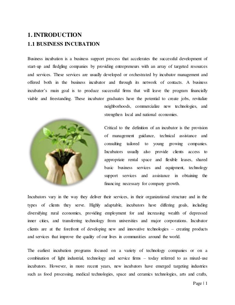 Business Incubation