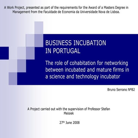 Business Incubation and Networking - Analysis based on Taguspark in Portugal.vf