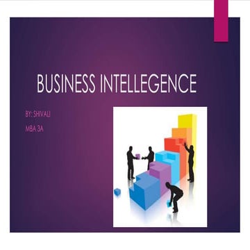 Business intellegence erp