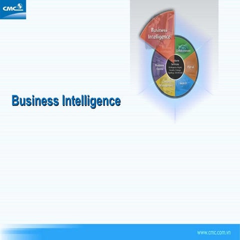 Business Intelligence