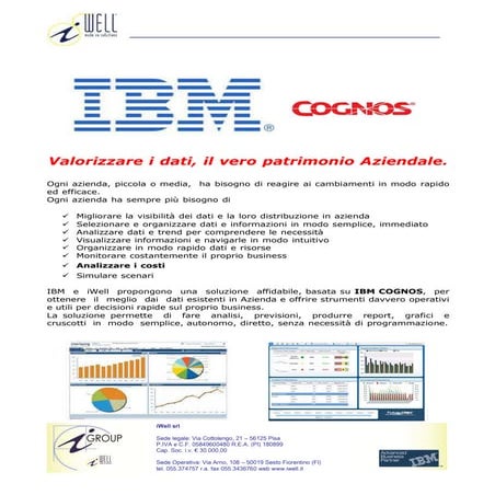 Business intelligence - IBM Cognos