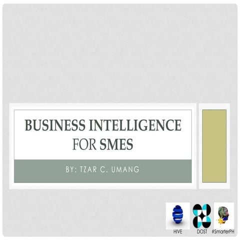 Business Intelligence Strategy for SME's | PDF