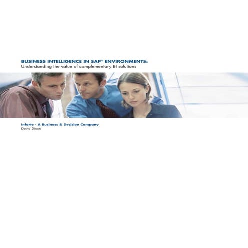Business Intelligence in SAP Environments: Understanding the value of complem...