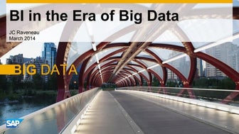Business intelligence in the era of big data