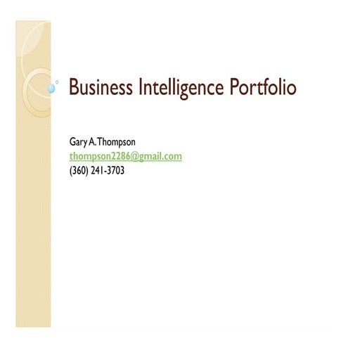 Business Intelligence Portfolio
