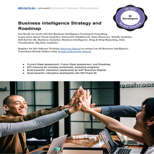 Business intelligence strategy and roadmap 2018