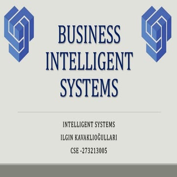 Business Intelligent Systems - IK