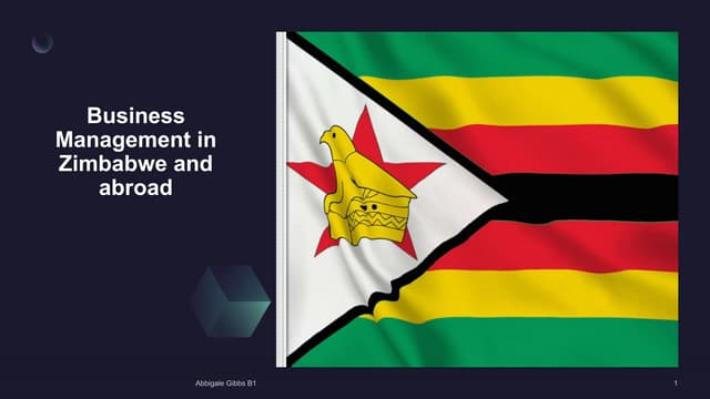 Business Management in Zimbabwe and abroad.pptx