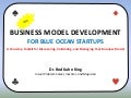 BUSINESS MODEL DEVELOPMENT FOR BLUE OCEAN STARTUPS