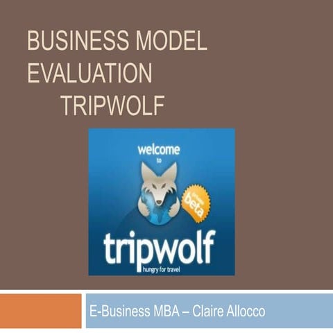 Business Model Evaluation E Biz