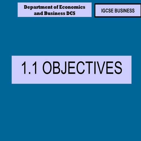 Business objectives igcse 2011