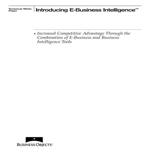 Business objects   introducing e-business intelligence