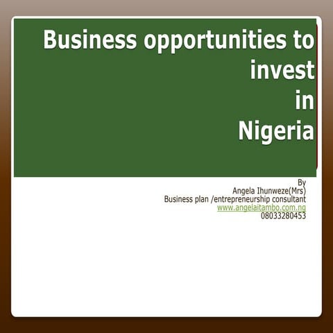 Business opportunities to invest in nigeria
