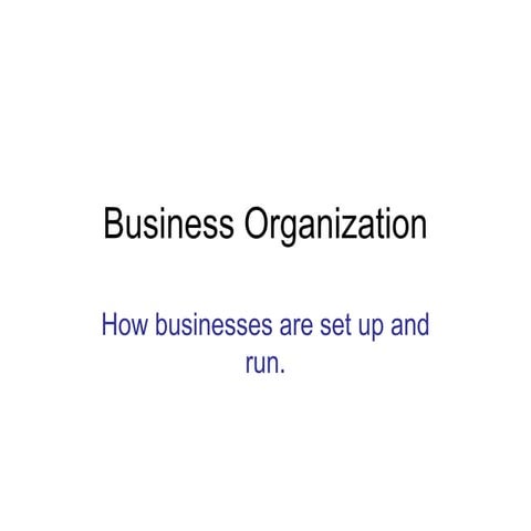 Business Organization-types of entities or firms