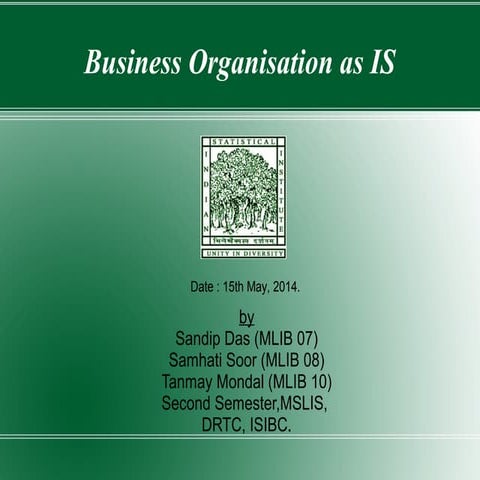 Business organization as a inforamtion system