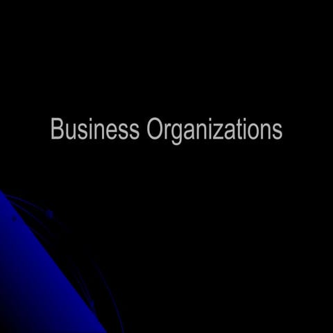 Business Organizations | PPT