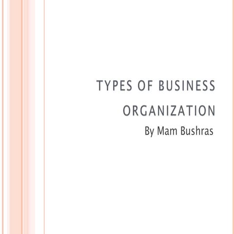 Business  Organization s_ 123467890.pptx