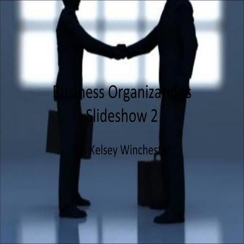 Business Organizations Slide 2 | PPT