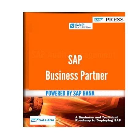 Business Partner S4HANA.pdf
