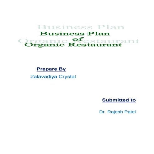 Business plan