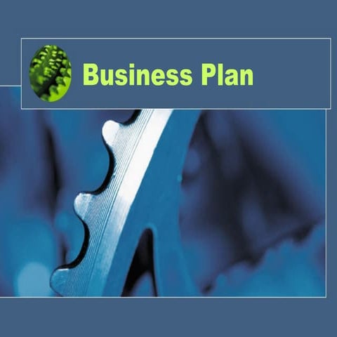 Business Plan