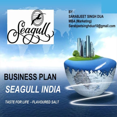 Flavour Salt - Business Plan