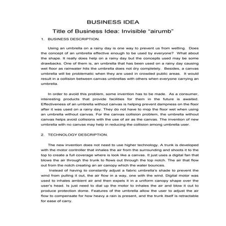 Business plan (air umbrella)