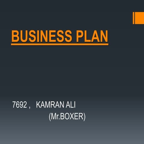Business plan