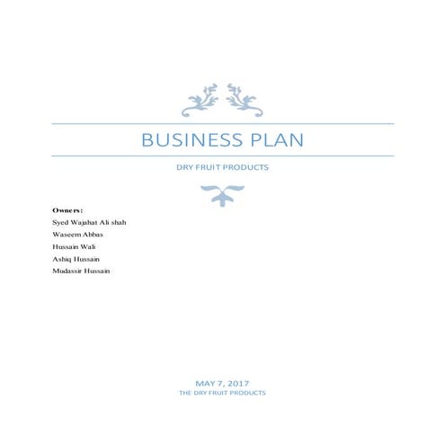 Business plan